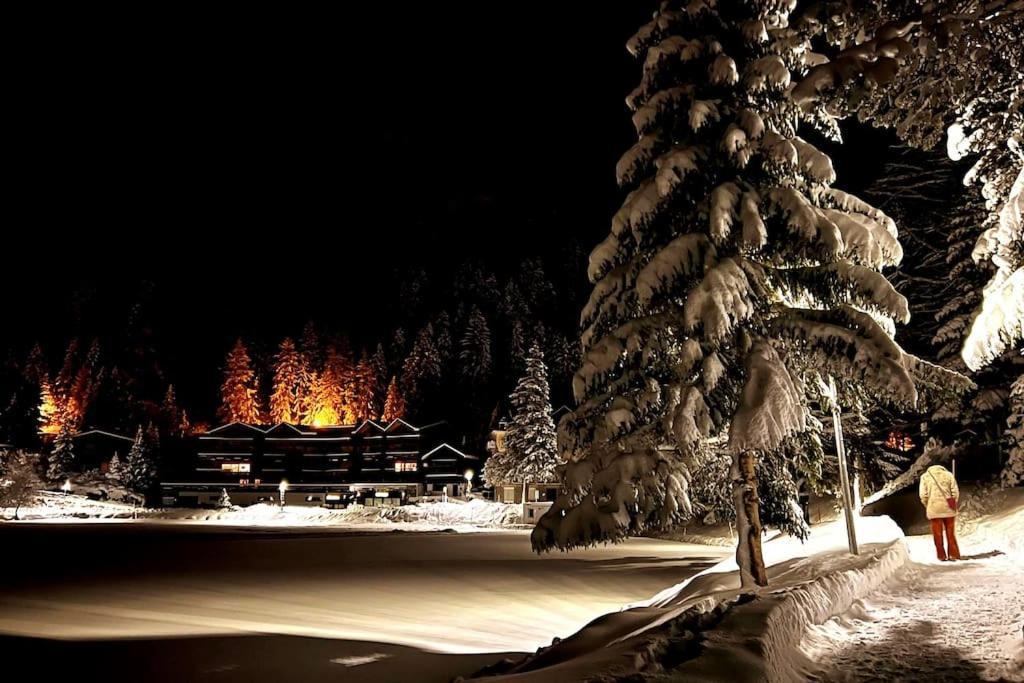 Superbe Appartement Champex-Lac Avec Piscine Et Sauna エクステリア 写真